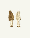 Narrow Botanical Print - Morel