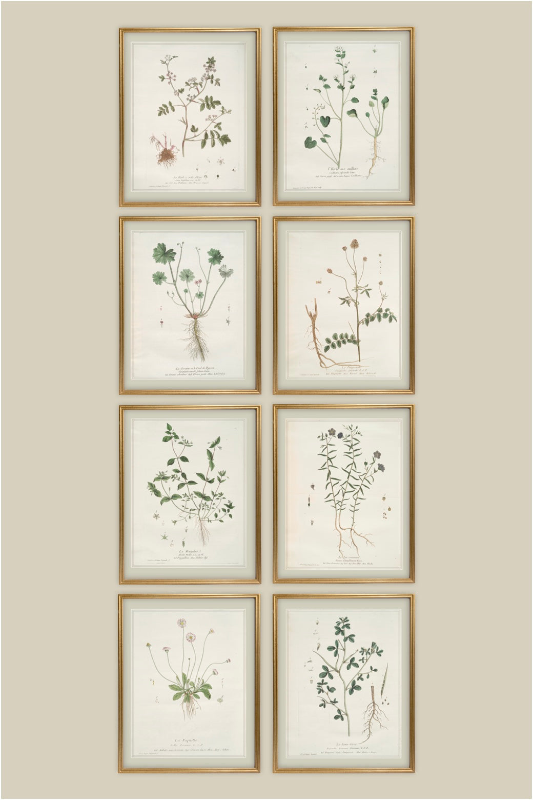 French Botanicals with Silver Border | Set of 8, 3 Sizes