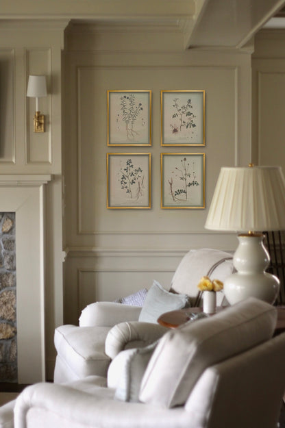 French Botanicals with Robin's Egg Border | Set of 8, 5x7s