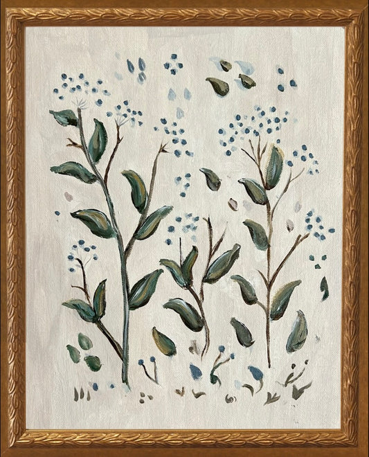 Botanical Studies - Viburnum