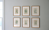 Classic Mat Boards for Botanicals - Natural White