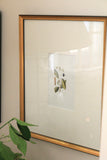 Narrow Print Mat Boards - Antique