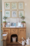 Gold Leaf Frames