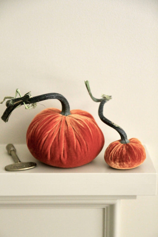 Persimmon Velvet Pumpkins