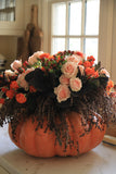 Floral Foam Blocks