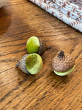 Velvet Acorn | Set of 6