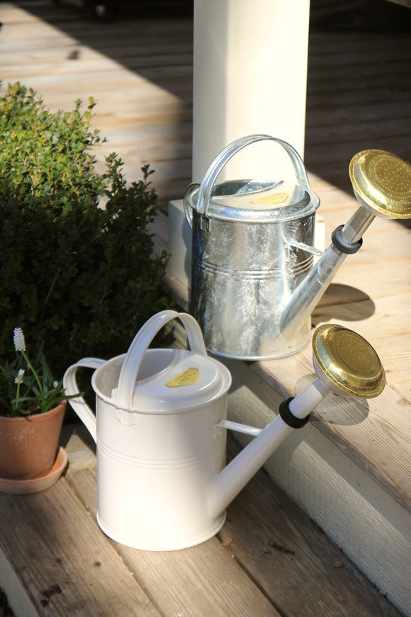 Large Watering Cans | Cream & Zinc 5 Liter