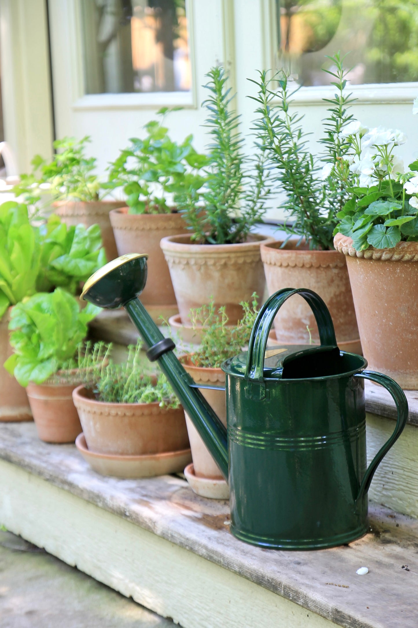Large Watering Cans | Dark Moss Green 5 Liter