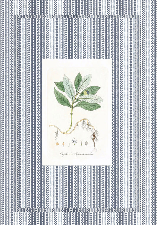 Papered Frame & Mats| Cottage Stripe in Navy