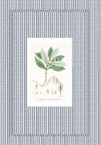 Papered Frame & Mats| Cottage Stripe in Navy
